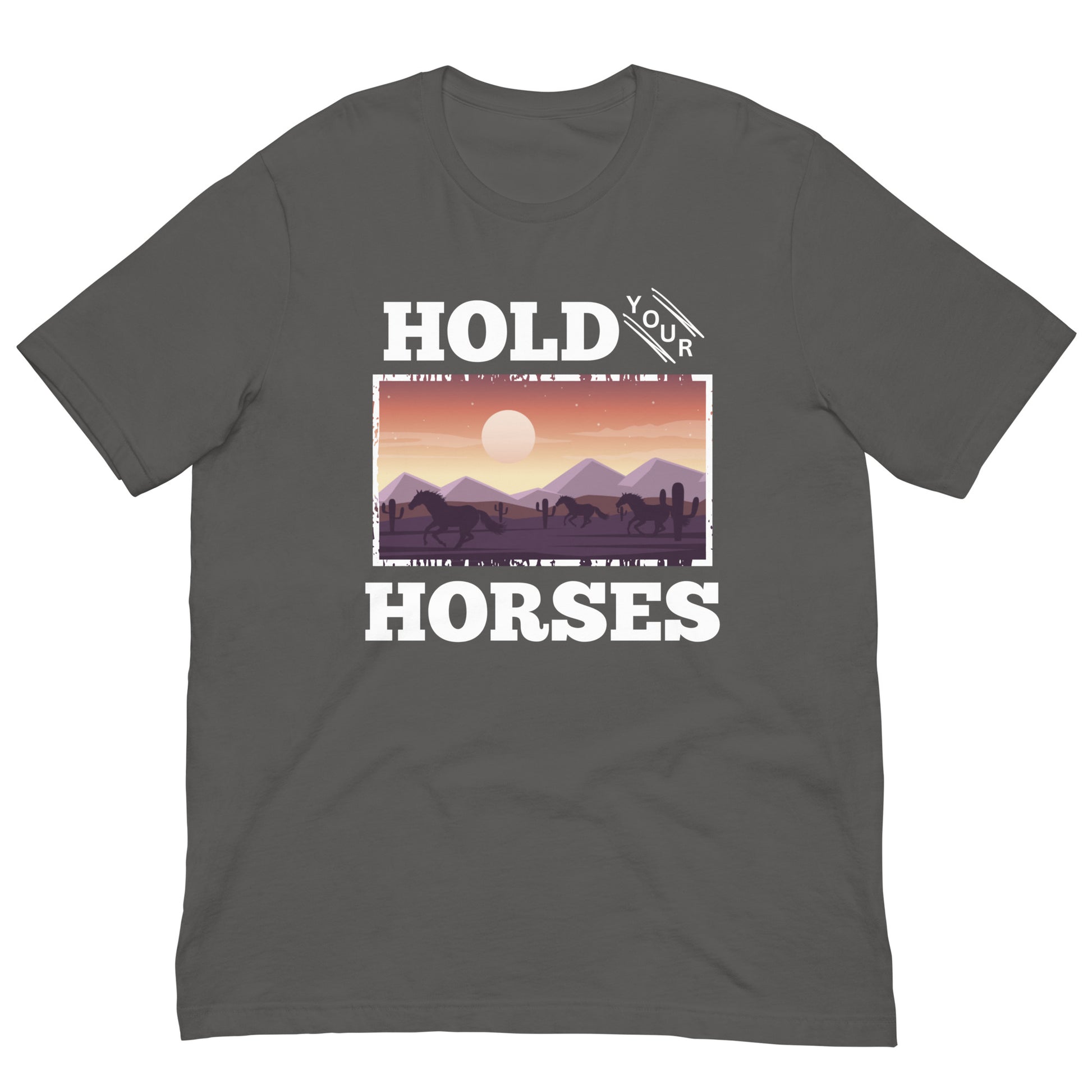 Hold Your Horses Boyfriend T-shirt - SLATE + STONE DESIGNS