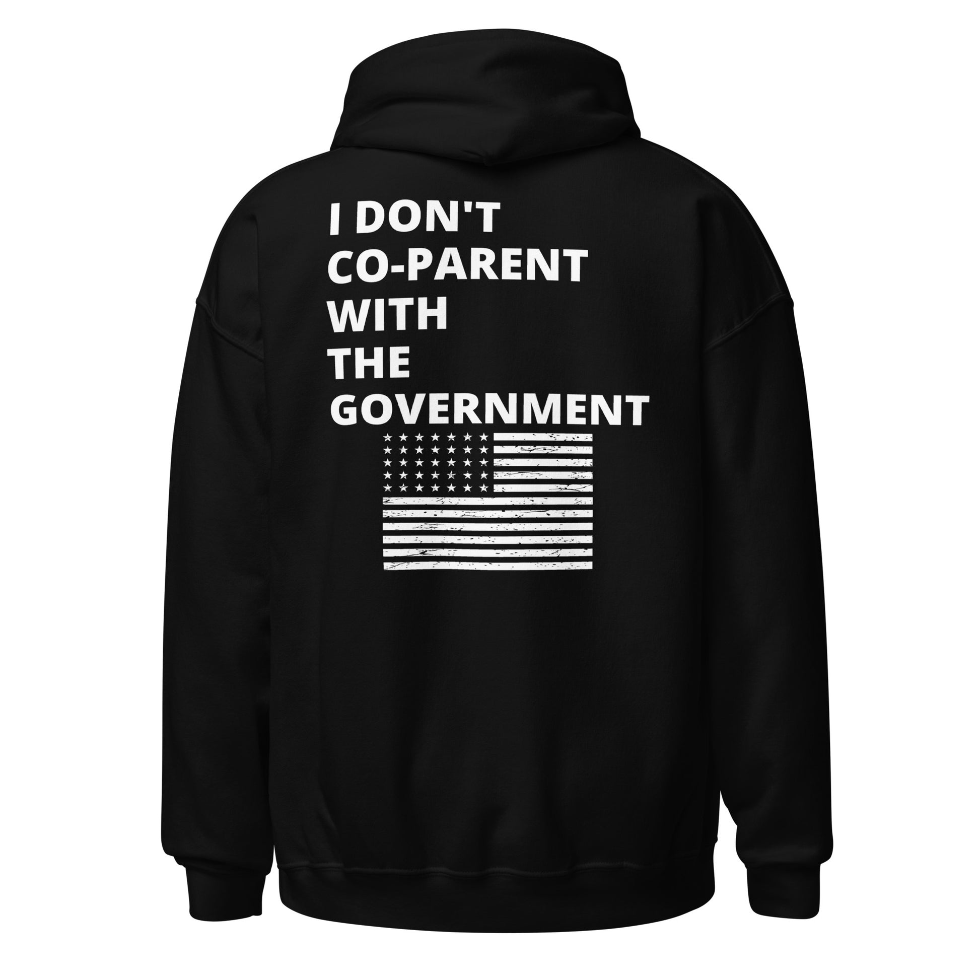I Don't Co-Parent With The Government Men's Hoodie - SLATE + STONE DESIGNS