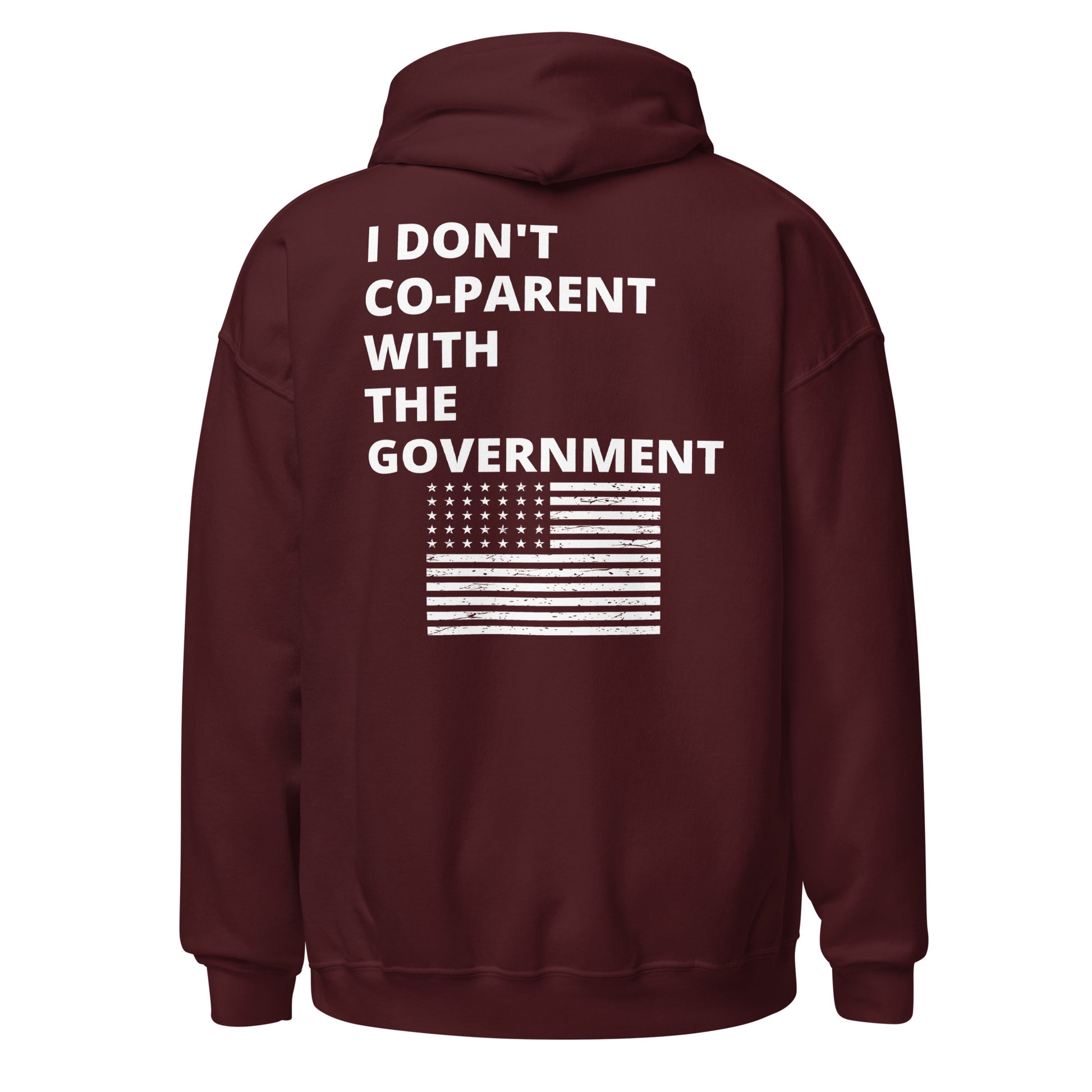 I Don't Co-Parent With The Government Men's Hoodie - SLATE + STONE DESIGNS
