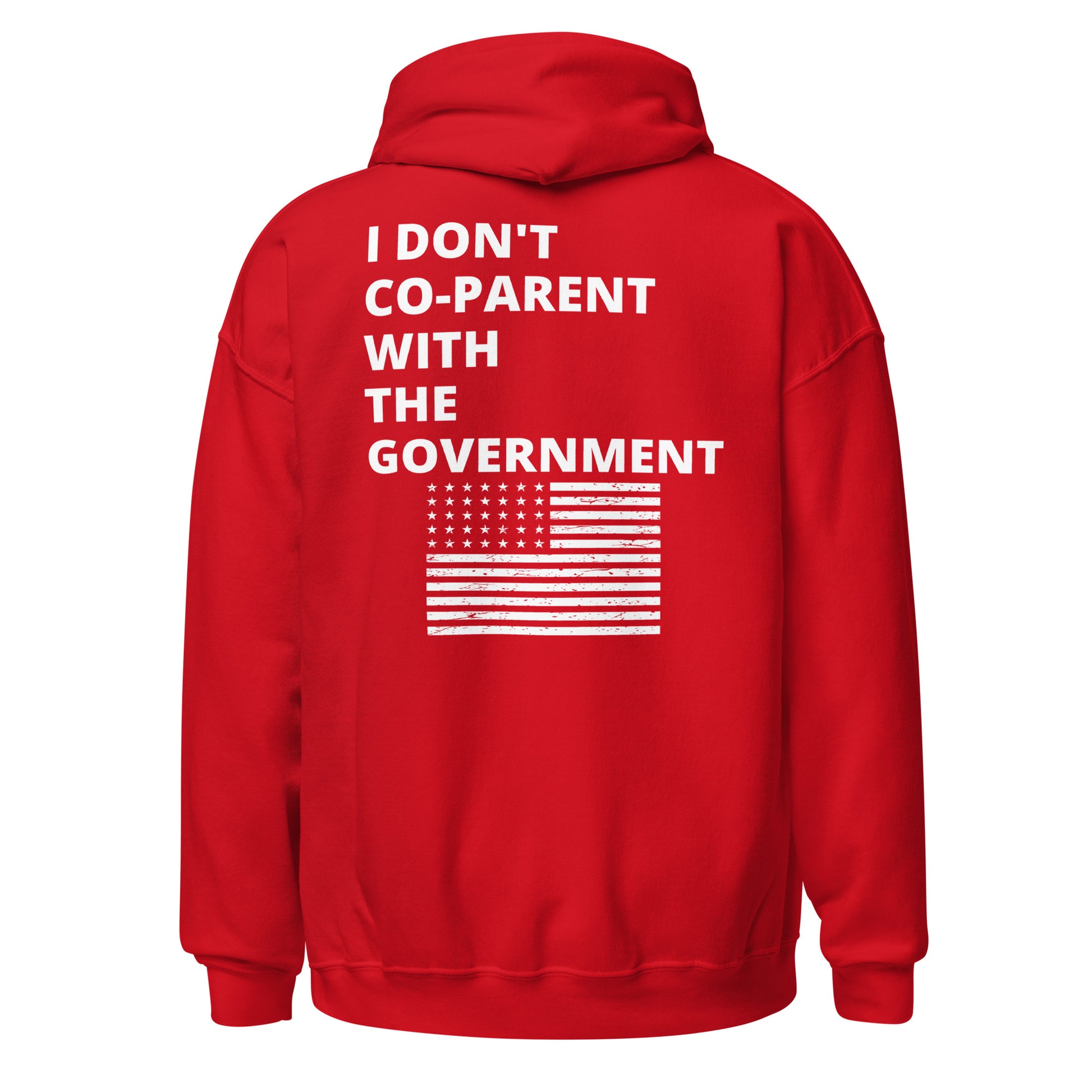 I Don't Co-Parent With The Government Men's Hoodie - SLATE + STONE DESIGNS